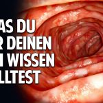 Was Du über Deinen Darm wissen solltest Was Du über Deinen Darm wissen solltest