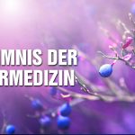 Das Geheimnis der Naturmedizin: Wie Nahrungsergänzungsmittel sinnvoll wirken! – Jutta Suffner