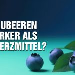 Blaubeeren stärker als Schmerzmittel? – Warum stille Entzündungen die Ursache jeder Erkrankung sind!