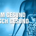 Die ganzheitliche Leaky Gut Heilung: Warum die Darmgesundheit so wichtig ist – André Blank