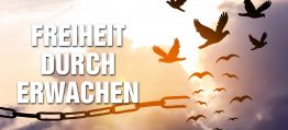 Im Leben aufgewacht – Wie Dich die Seele in die Freiheit führen kann! – Leonila Mathis