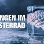 Gefangen im Hamsterrad: Die wahren Ursachen von Krankheiten und wie Heilung wirklich funktioniert