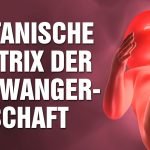 Die Enthüllung der satanischen Matrix der Schwangerschaft – Voraussetzungen für glückliche Kinder