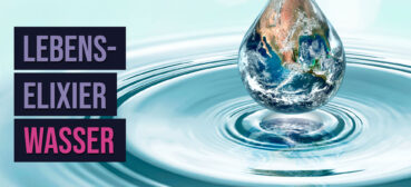 Lebenselixier Wasser: Was dich krank machen kann und warum Wasser wichtig für deine Gesundheit ist!