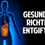 BIST DU ÜBERSÄUERT? – Alles was Du über Deinen Stoffwechsel wissen musst BIST DU ÜBERSÄUERT? – Alles was Du über Deinen Stoffwechsel wissen musst