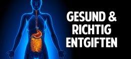 BIST DU ÜBERSÄUERT? – Alles was Du über Deinen Stoffwechsel wissen musst BIST DU ÜBERSÄUERT? – Alles was Du über Deinen Stoffwechsel wissen musst