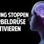 Alterung stoppen | Zirbeldrüse aktivieren | Denkleistung erhöhen – Prof. Dr. Dr. Enrico Edinger Alterung stoppen | Zirbeldrüse aktivieren | Denkleistung erhöhen – Prof. Dr. Dr. Enrico Edinger