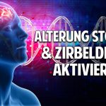 Alterung stoppen | Zirbeldrüse aktivieren | gesund & lange Leben – Prof. Dr. Enrico Edinger Alterung stoppen | Zirbeldrüse aktivieren | gesund & lange Leben – Prof. Dr. Enrico Edinger