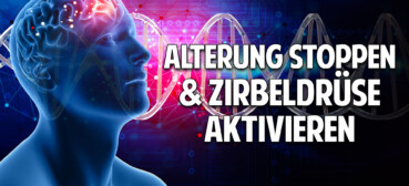 Alterung stoppen | Zirbeldrüse aktivieren | gesund & lange Leben – Prof. Dr. Enrico Edinger Alterung stoppen | Zirbeldrüse aktivieren | gesund & lange Leben – Prof. Dr. Enrico Edinger