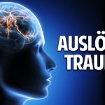 Auslöser Trauma: Konflikte & Beziehungskrisen haben eine seelische Ursache – Dr. Katharina Klees Auslöser Trauma: Konflikte & Beziehungskrisen haben eine seelische Ursache – Dr. Katharina Klees