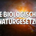 Jede Krankheit ist heilbar – Die biologischen Naturgesetze