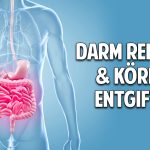 Darm reinigen & Körper entgiften – Die unglaubliche Kraft der Bitterstoffe Darm reinigen & Körper entgiften – Die unglaubliche Kraft der Bitterstoffe