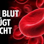 Dein Blut lügt nicht! – Was Blut über Deine Gesundheit & Krankheit aussagen kann – Sabine Linek Dein Blut lügt nicht! – Was Blut über Deine Gesundheit & Krankheit aussagen kann – Sabine Linek