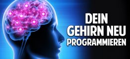 Programmiere Dein Gehirn neu