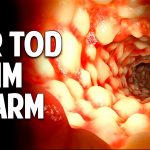 Der Tod beginnt im Darm – Wahrheit oder Panikmache? Der Tod beginnt im Darm – Wahrheit oder Panikmache?