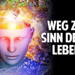 Ideen und Erkenntnisse für ein erfülltes Leben – Der Weg zum Sinn Deines Lebens