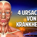 Die 4 Ursachen von Krankheiten: Grundlage für ein gesundes Leben – Ein Arzt spricht Klartext Die 4 Ursachen von Krankheiten: Grundlage für ein gesundes Leben – Ein Arzt spricht Klartext