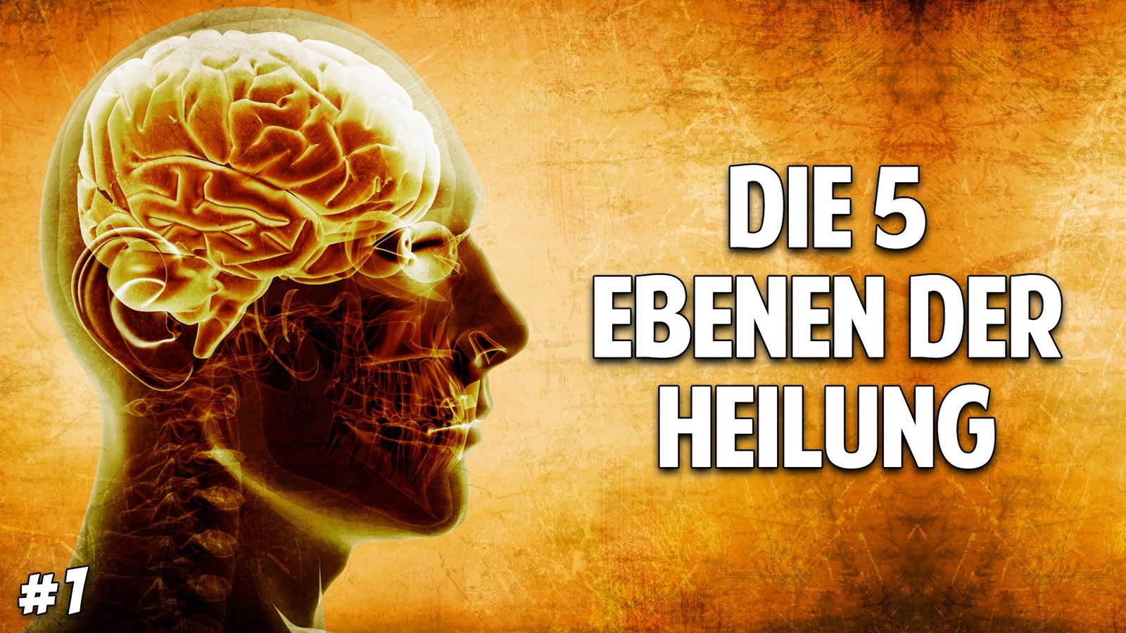 Gesundheit & Wohlbefinden Welt im Wandel TV