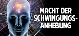 Die Macht der Schwingungsanhebung – Wie Du Deinen Körper mit Biophotonenenergie harmonierst Die Macht der Schwingungsanhebung – Wie Du Deinen Körper mit Biophotonenenergie harmonierst