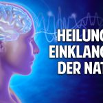 Die Zukunft der Medizin – Ganzheitliche Heilung im Einklang mit der Natur Die Zukunft der Medizin – Ganzheitliche Heilung im Einklang mit der Natur