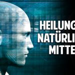 Heilung mit natürlichen Mitteln – Die erstaunliche Kraft der Blaubeere