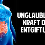 Die unglaubliche Kraft der Entgiftung – Wie diese Pflanze Dein Leben verändern kann Die unglaubliche Kraft der Entgiftung – Wie diese Pflanze Dein Leben verändern kann