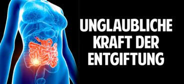 Die unglaubliche Kraft der Entgiftung – Wie diese Pflanze Dein Leben verändern kann Die unglaubliche Kraft der Entgiftung – Wie diese Pflanze Dein Leben verändern kann
