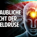 Die unglaubliche Macht der Zirbeldrüse – Prof. Dr. Dr. Enrico Edinger Die unglaubliche Macht der Zirbeldrüse – Prof. Dr. Dr. Enrico Edinger