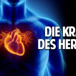 Die Kraft des Herzens: Erwecke Dein wahres Potenzial für Wandlung & Heilung in Dir Die Kraft des Herzens: Erwecke Dein wahres Potenzial für Wandlung & Heilung in Dir
