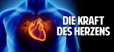 Die Kraft des Herzens: Erwecke Dein wahres Potenzial für Wandlung & Heilung in Dir Die Kraft des Herzens: Erwecke Dein wahres Potenzial für Wandlung & Heilung in Dir