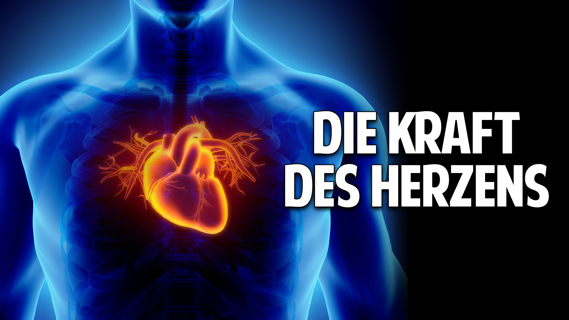 Welt im Wandel TV » Die Kraft des Herzens Erwecke Dein wahres