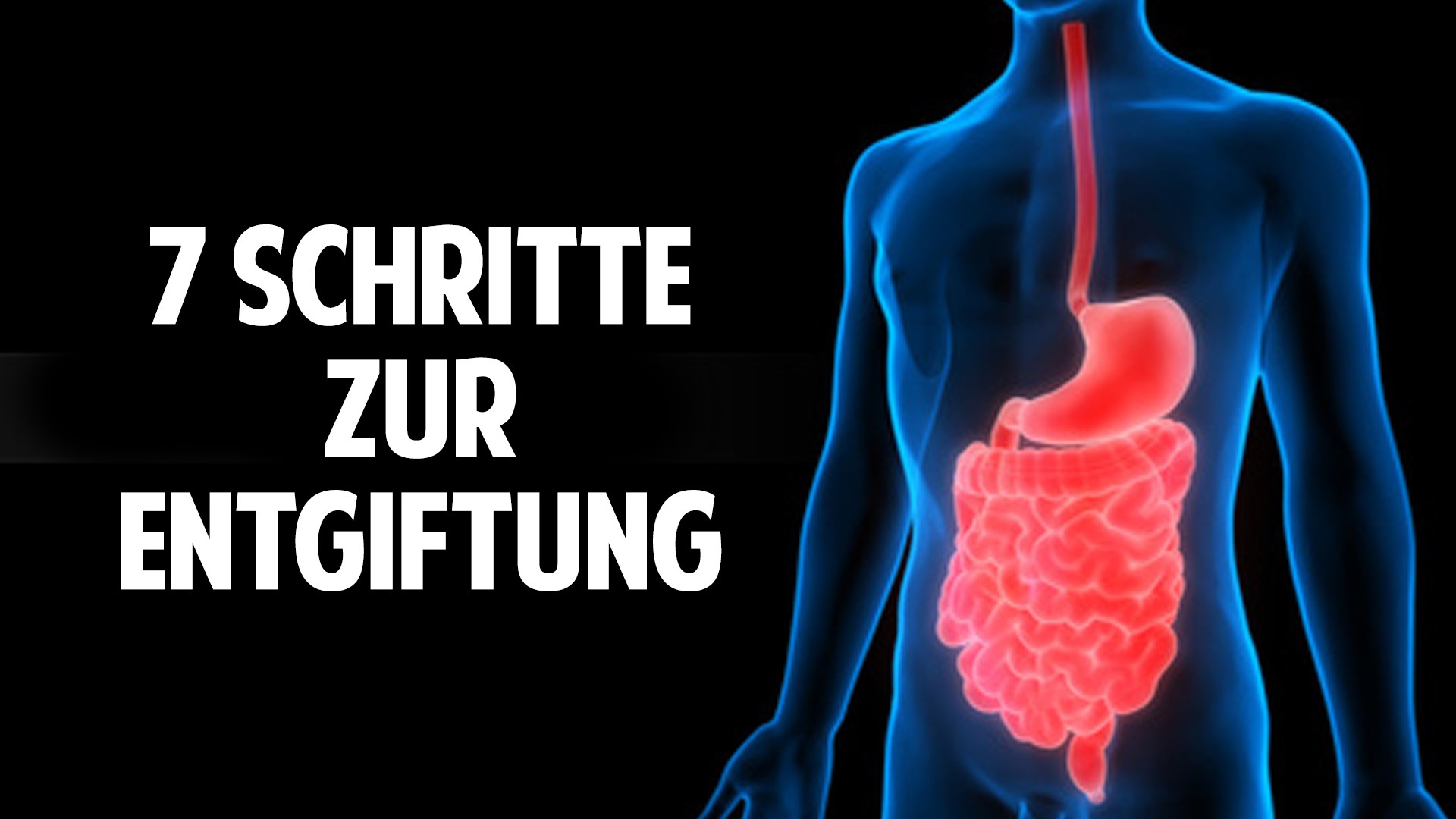 Welt im Wandel TV » Die 7 Schritte zur Körperentgiftung Ein gesundes