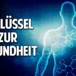 Der Schlüssel zur Gesundheit – Heilung von Krankheiten durch Informationsmedizin Der Schlüssel zur Gesundheit – Heilung von Krankheiten durch Informationsmedizin