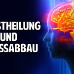 Selbstheilung aktivieren, Stressabbau & Entspannung  – Was Du über Meditation wissen musst