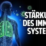 Stärkung des Immunsystems mit der Heilkraft der Natur – Die geheimnisvolle Kraft der Blaubeere