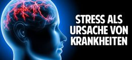Stress als Ursache von Krankheiten und die Auswirkungen im Körper – Dr. Jürgen Buhr