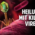 Wenn kein Antibiotika mehr hilft! Heilung mit Killer-Viren gegen lebensgefährliche Bakterien Wenn kein Antibiotika mehr hilft! Heilung mit Killer-Viren gegen lebensgefährliche Bakterien