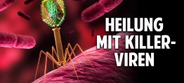 Wenn kein Antibiotika mehr hilft! Heilung mit Killer-Viren gegen lebensgefährliche Bakterien Wenn kein Antibiotika mehr hilft! Heilung mit Killer-Viren gegen lebensgefährliche Bakterien