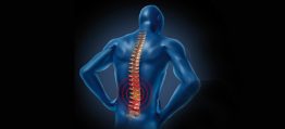 Rückenschmerzen? – Gesundheit durch natürliche Schwingung