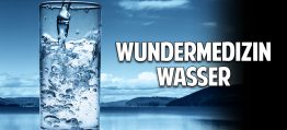 Wundermedizin Wasser: Der Schlüssel zur Selbstheilung – Wasserforscher Erich Meidert