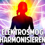 Handy, WLAN & 5G – Harmonisierung als Lebensaufgabe in einer Welt voller Elektrosmog Handy, WLAN & 5G – Harmonisierung als Lebensaufgabe in einer Welt voller Elektrosmog