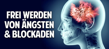 Trauma auflösen – Frei werden von Ängsten, Blockaden & negativen Glaubensmustern Trauma auflösen – Frei werden von Ängsten, Blockaden & negativen Glaubensmustern