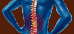 Osteopathie: Was haben Rückenprobleme mit Darmproblemen zu tun?